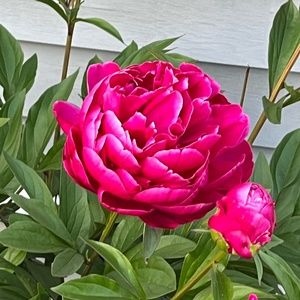 Meet your Posher, Marina